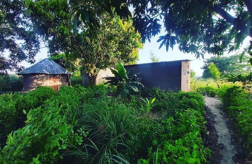 Western House | "ROOTS" Guesthouse @Good Vibes Eco Lodge