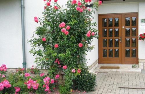 Bad Langensalza House | Rose ambience Modern retreat