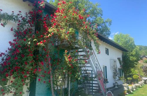 Hasenfeld Apartment | Rosenstufen
