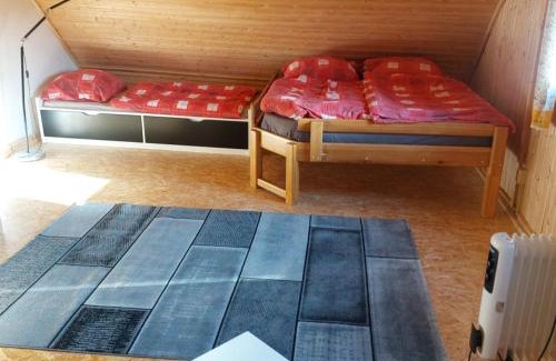 Orlicke Zahori Apartment | Roubenky za Hurtovnou