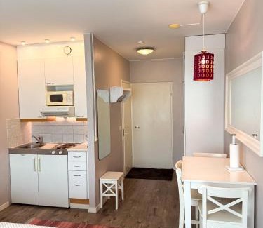 Rovaniemi Apartment | Rovaniemi City Stay Walk to Everything