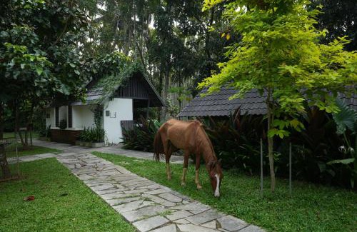 Kedavur Villa | Royad Calicut Farm House - Premium Villa with Pool Inside a Farm