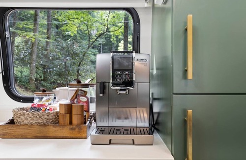 Pisgah Forest Villa | Royal Fern in Pisgah Forest