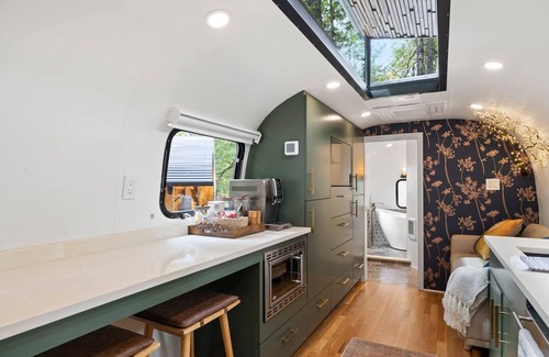Pisgah Forest Villa | Royal Fern in Pisgah Forest
