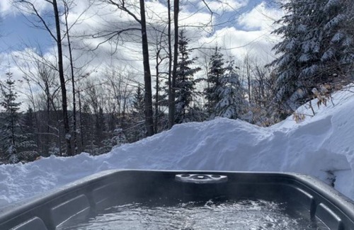 Saint Come Cabin | Royal St-Côme, ski and spa