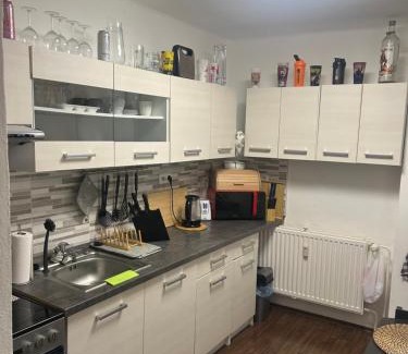 Bor u Tachova Apartment | Rozvadov útulný apartmán