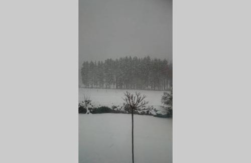 Limbach Apartment | Ruhe Oase mit tollem Fernblick inmitten der Natur