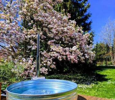 Neufrach Apartment | Ruhestifter-Salem mit Aromasauna und Hot Tub