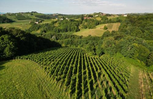 Strigova House | Ruralna kuća za odmor Julijana