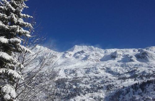 Vaujany Ski Chalet | Rustic & A Chalet 'Le Sert du Grey - Vaujany