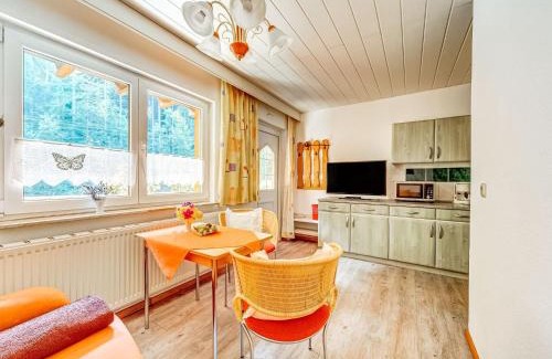 Masserberg Apartment | Rustic Black Forest Getaway