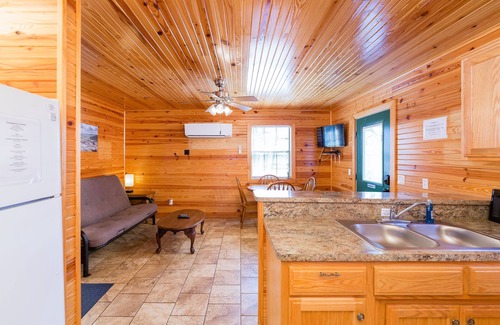 Mountainburg Cabin | Rustic Boars Nest Cabin with a Hot Tub