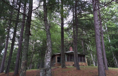 Bigfork Cabin | Rustic cabin in remote wooded area on point overlooking lake.