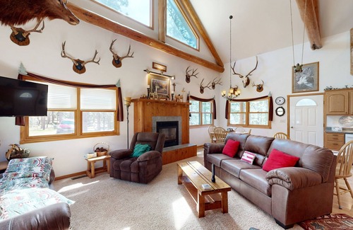 Nemo Cabin | Rustic cabin w/expansive outdoor space, gas firepit, W/D & free WiFi