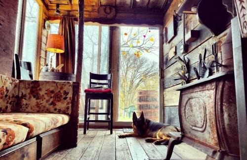 Jonesville House | Rustic Container Accommodation for Glamping in Kentucky