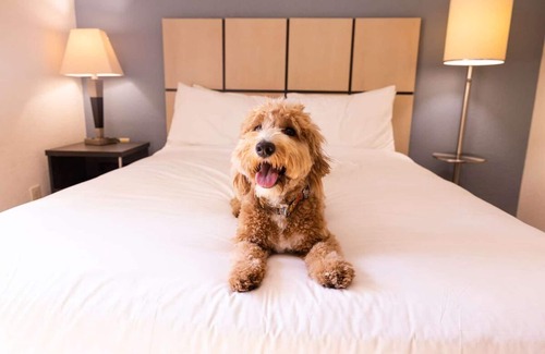 Baymeadows Resort | Rustic Getaway in Jacksonville! 2 Spacious Units, Full Kitchen, Pets Allowed!