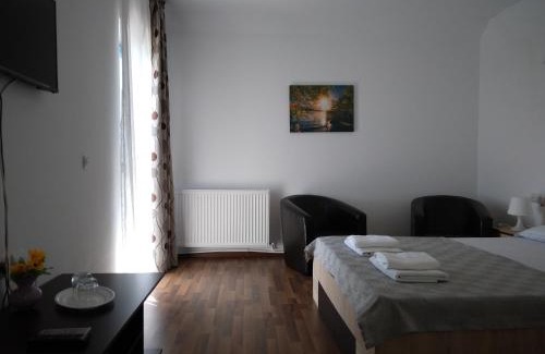 Sarichioi House | RUSTIC