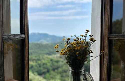 Camaiore Cottage | Rustico La Ghiandaia