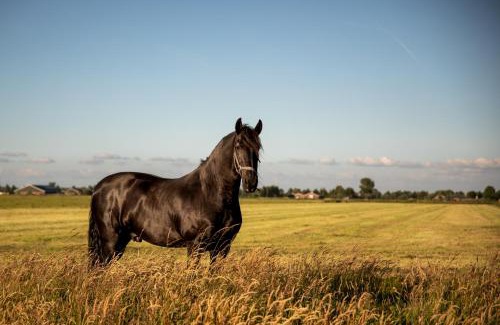Municipality of Oudewater House | Ruyge Weyde Logies - The Farmers Daughter