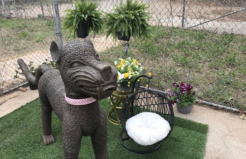 Wise House | RV that is Dog Friendly at Former Prison