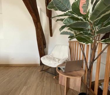 Jargeau Apartment | Séjour cosy à 2 pas de la Loire