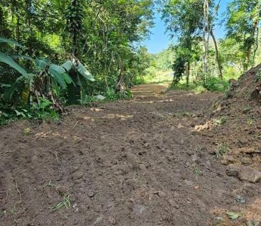 Sao Francisco do Sul House | Sítio com Espaço para Eventos