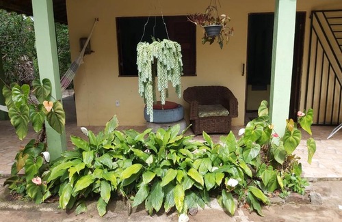 Vicosa do Ceara House | Sítio Guapuruvu