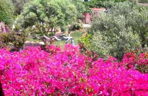 Putzu Idu House | S Arena Scoada: Villa: only 80 meters far from the beaches