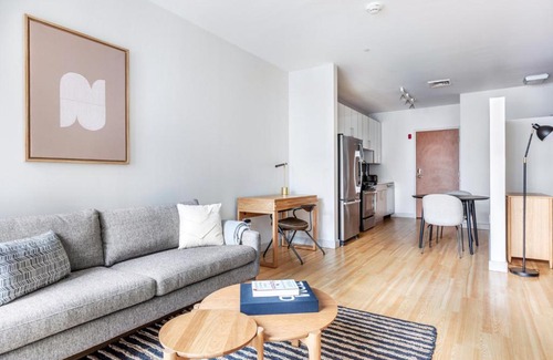 D Street - West Broadway Apartment | S Boston studio w Gym WD by Seaport on D BOS-351