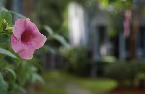 Ong Lang Resort | S79 Stay Sweet Home Phu Quoc