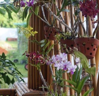 Ong Lang Resort | S79 Stay Sweet Home Phu Quoc