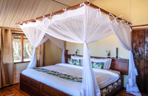 Saadani Cabin | Saadani Safari Lodge - bush, river, beach