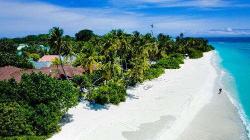 Fodhdhoo Hotel | Sabba Beach Suite , Fodhdhoo - Maldives