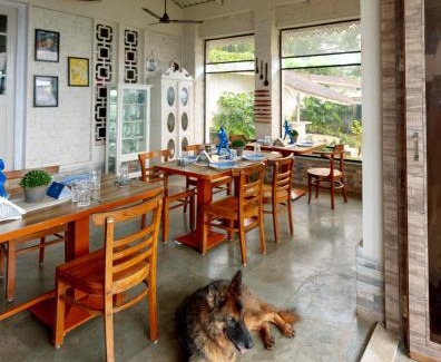 Roha Villa | SaffronStays JungleBrooke