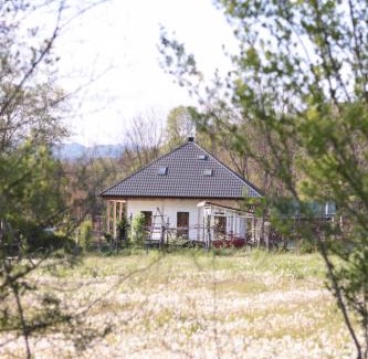 Valsanesti House | Saint Friday Cottage - Retreat, Garden and Forest