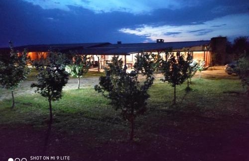 Novi Sad Bed & Breakfast | Salaš Farma 47-Miris Dunja