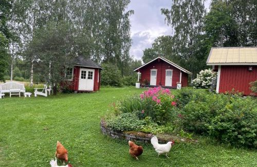 Konnevesi Bed & Breakfast | Salmenaho B&B
