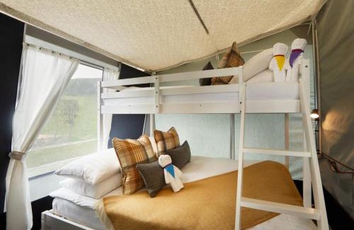 Rhayader House | Salmon