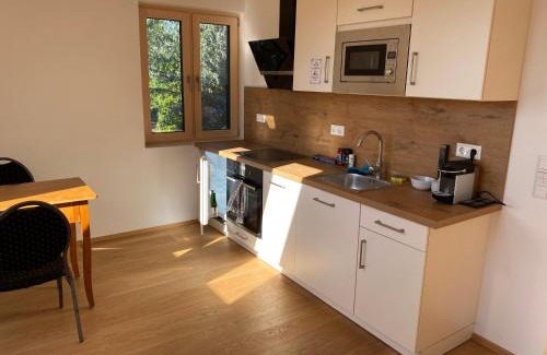 Leopoldskron-Moos Apartment | Salzburg-Loft im Stadtteil Leopoldskron-Moos 120qm mit Balkon & Untersbergblick