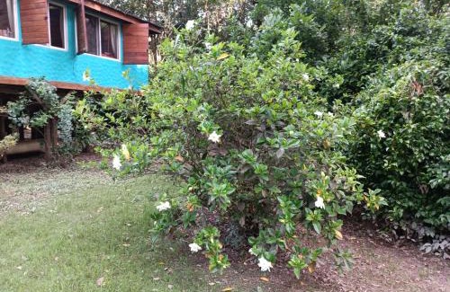 Partido de Tigre House | Samadhi