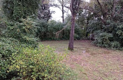 Partido de Tigre House | Samadhi