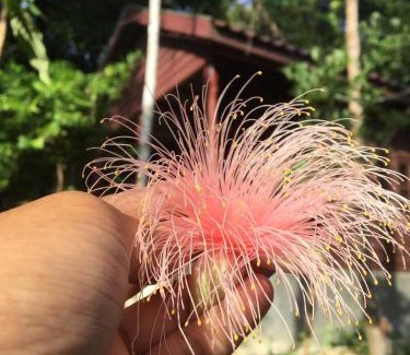 Koh Rong House | Sambath Sakseth Bungalow