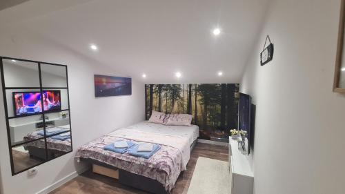 Stari Banovci Apartment | SAMITEST