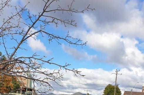 Central Mudgee House | Samuels Cottage C1860 - In the heart of Mudgee