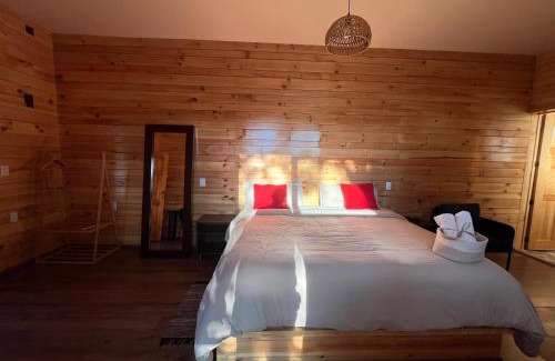 San Jose del Pacifico Apartment | San José del Pacífico- Cabañas Camino al Cielo 1