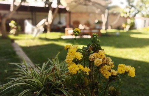 Rumisapa House | SANANGO GARDEN
