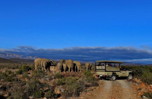 Barrydale Cabin | Sanbona Wildlife Reserve