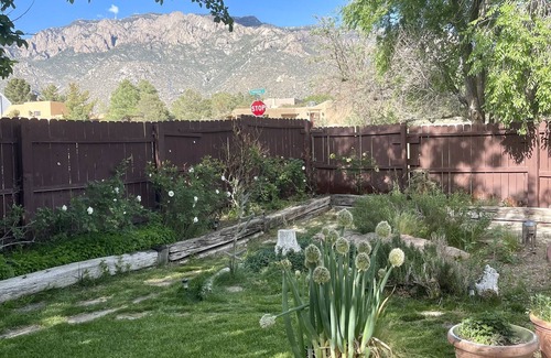 Sandia Heights South House | Sandia Heights Getaway VIEWS, UPSCALE, 3BR