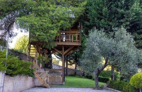 Sane House | Sani Tree House