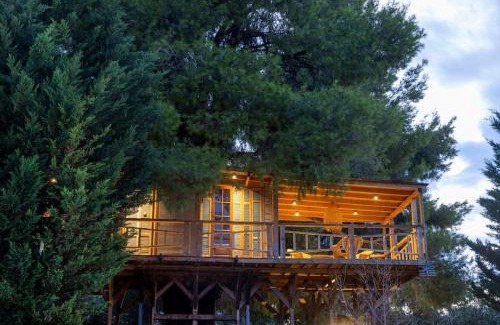 Sane House | Sani Tree House